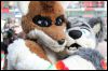 [Furmeet Dresden 23032013 Nimmermehr (66)]