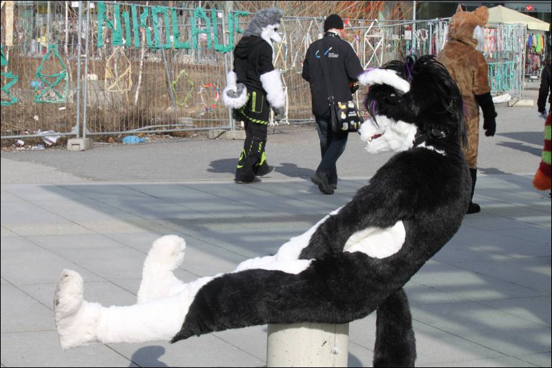 [Furmeet_Dresden_23032013_Nimmermehr (67).JPG]