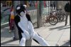 [Furmeet Dresden 23032013 Nimmermehr (68)]