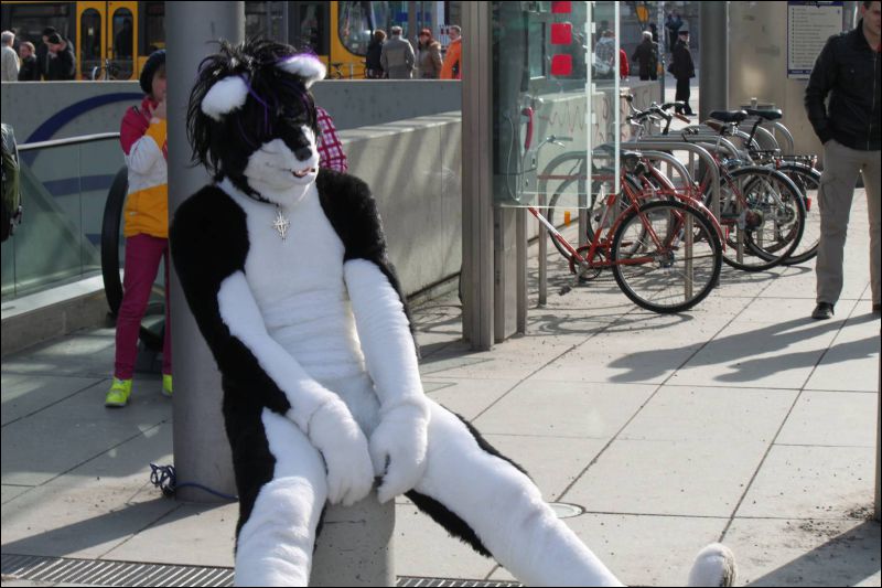 [Furmeet_Dresden_23032013_Nimmermehr (68).JPG]