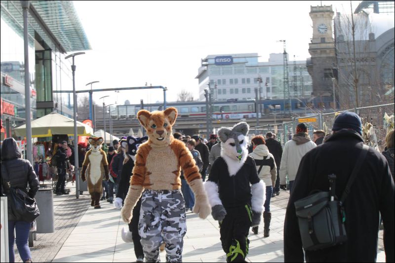 [Furmeet_Dresden_23032013_Nimmermehr (70).JPG]