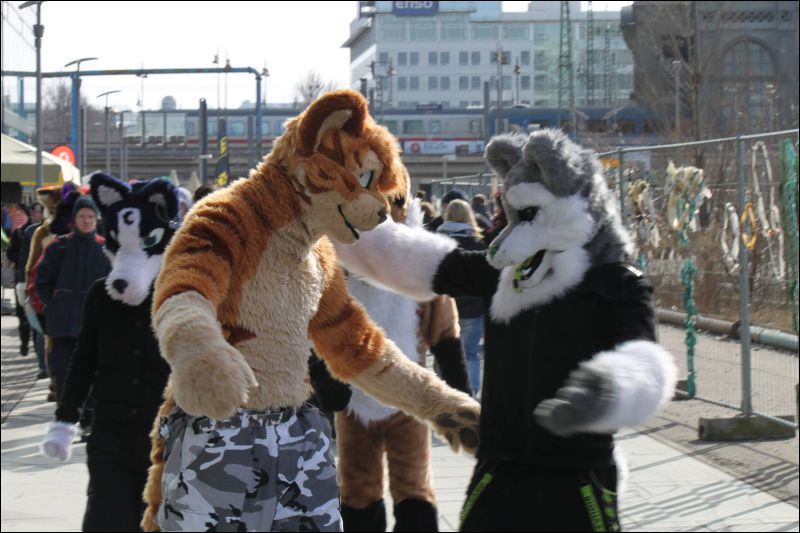 [Furmeet_Dresden_23032013_Nimmermehr (71).JPG]