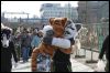 [Furmeet Dresden 23032013 Nimmermehr (72)]