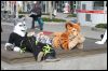 [Furmeet Dresden 23032013 Nimmermehr (84)]