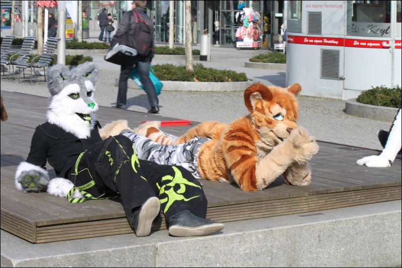 [Furmeet_Dresden_23032013_Nimmermehr (84).JPG]