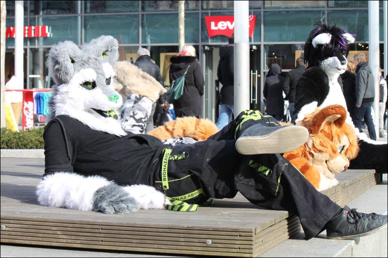 [Furmeet_Dresden_23032013_Nimmermehr (85).JPG]