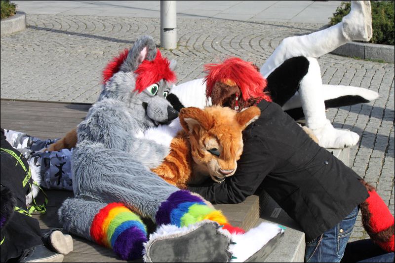 [Furmeet_Dresden_23032013_Nimmermehr (86).JPG]