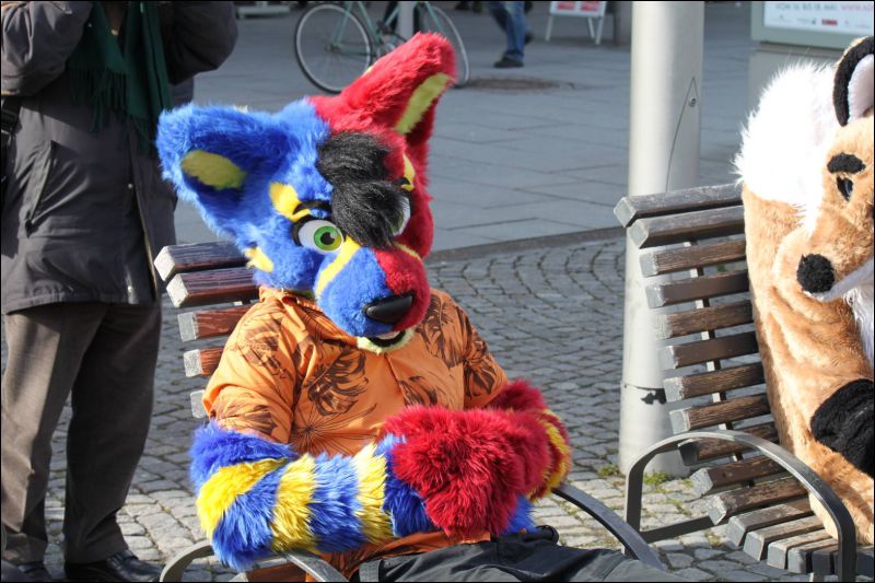 [Furmeet_Dresden_23032013_Nimmermehr (88).JPG]