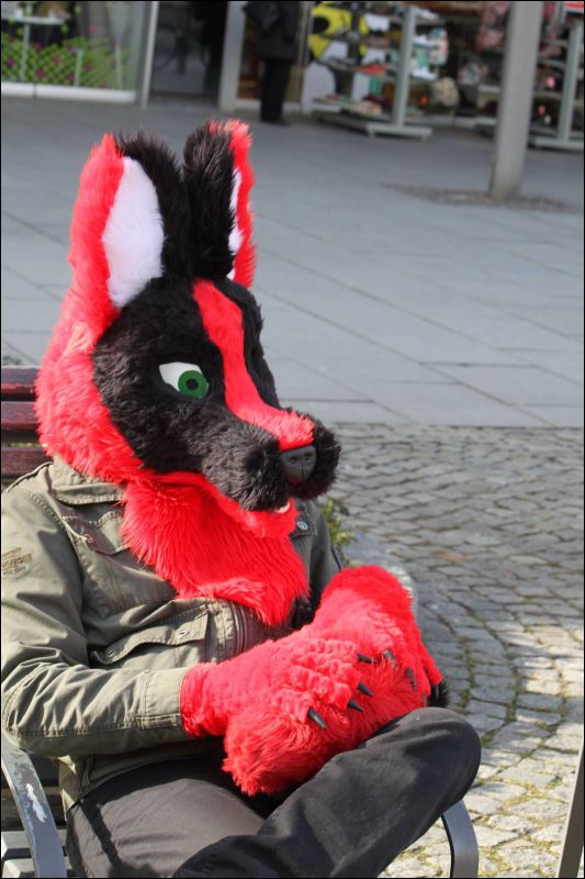 [Furmeet_Dresden_23032013_Nimmermehr (89).JPG]