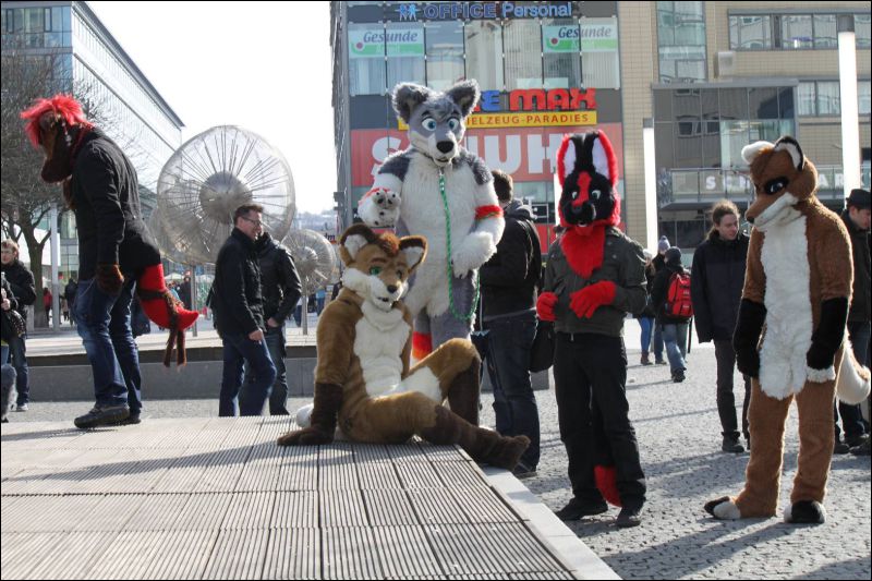 [Furmeet_Dresden_23032013_Nimmermehr (90).JPG]