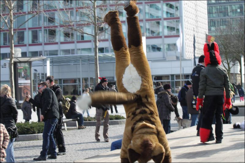 [Furmeet_Dresden_23032013_Nimmermehr (95).JPG]