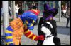 [Furmeet Dresden 23032013 Nimmermehr (96)]