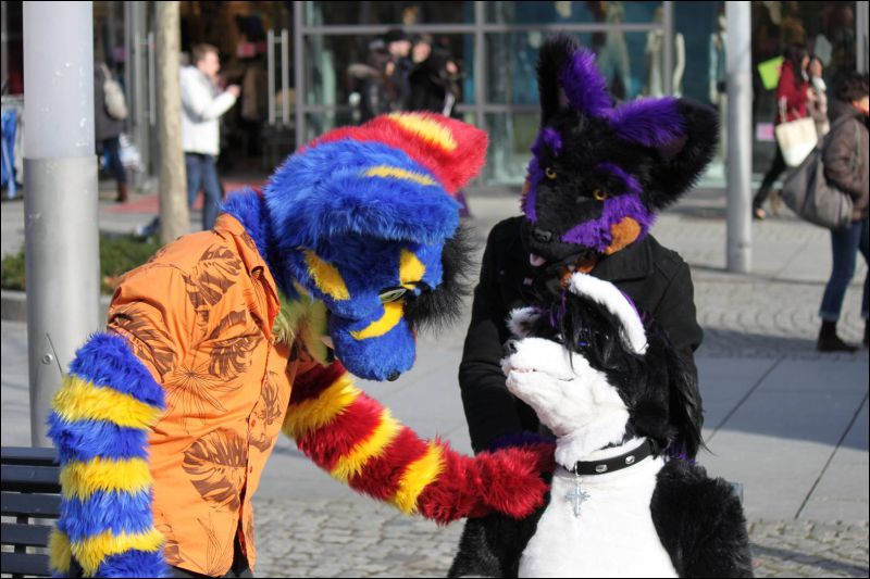 [Furmeet_Dresden_23032013_Nimmermehr (96).JPG]