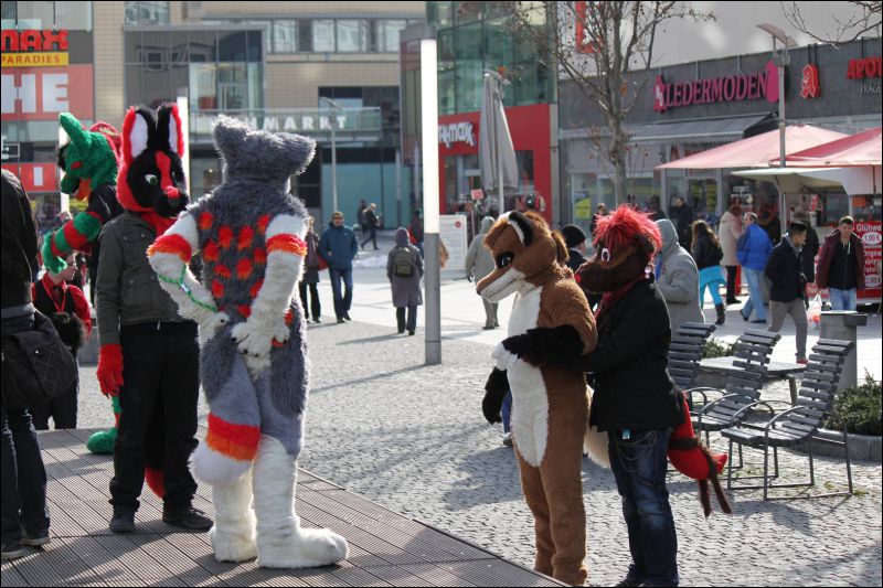 [Furmeet_Dresden_23032013_Nimmermehr (97).JPG]