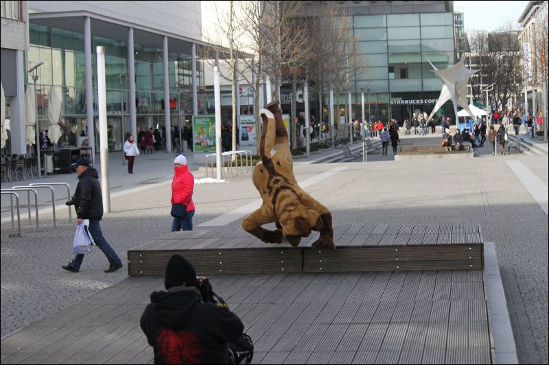 [Furmeet_Dresden_23032013_Nimmermehr (99).JPG]