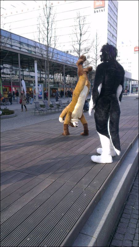 [Furmeet_Dresden_23032013_RexAmon (70).jpg]