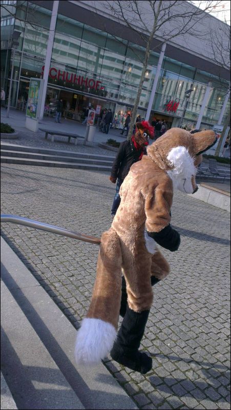 [Furmeet_Dresden_23032013_RexAmon (78).jpg]