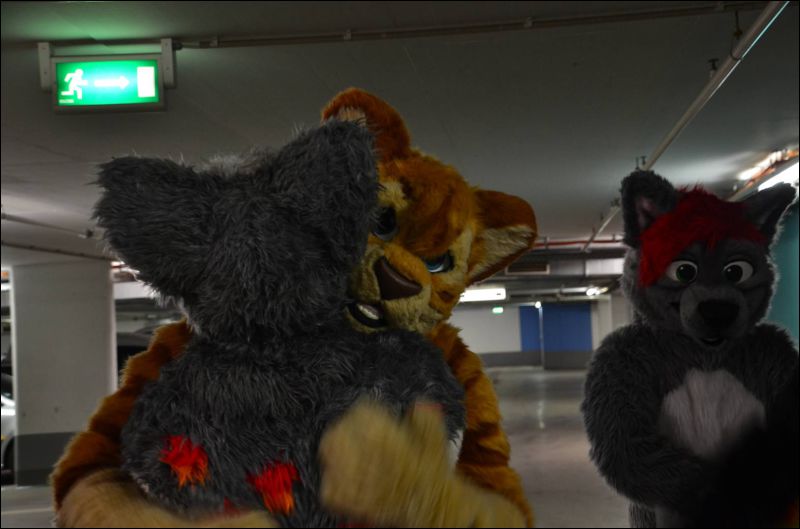 [Furmeet_Dresden_23032013_Sephius (5).JPG]