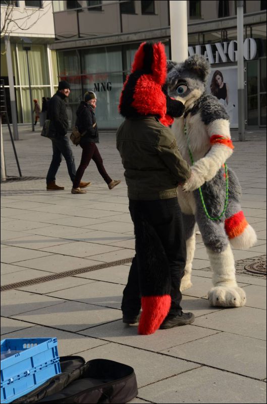 [Furmeet_Dresden_23032013_Sephius (8).JPG]