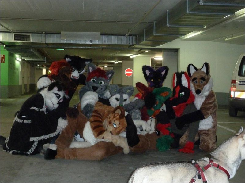 [Furmeet_Dresden_23032013_Tari (10).JPG]