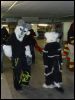 [Furmeet Dresden 23032013 Tari (12)]