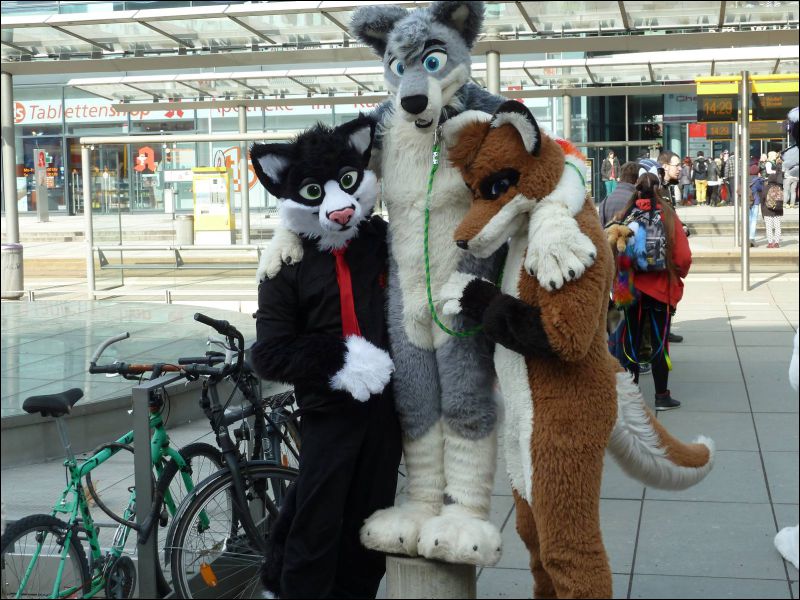 [Furmeet_Dresden_23032013_Tari (16).JPG]