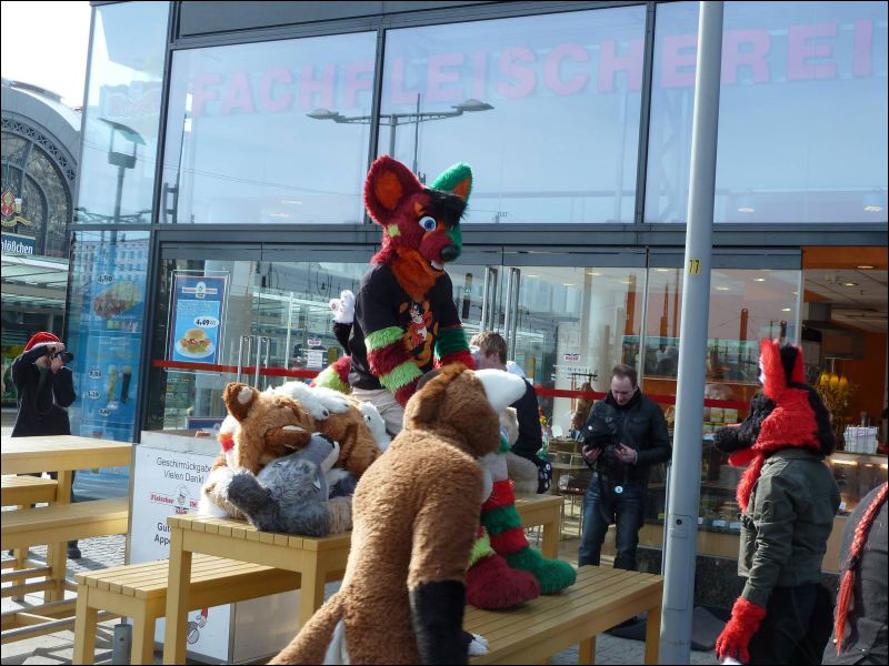 [Furmeet_Dresden_23032013_Tari (19).JPG]