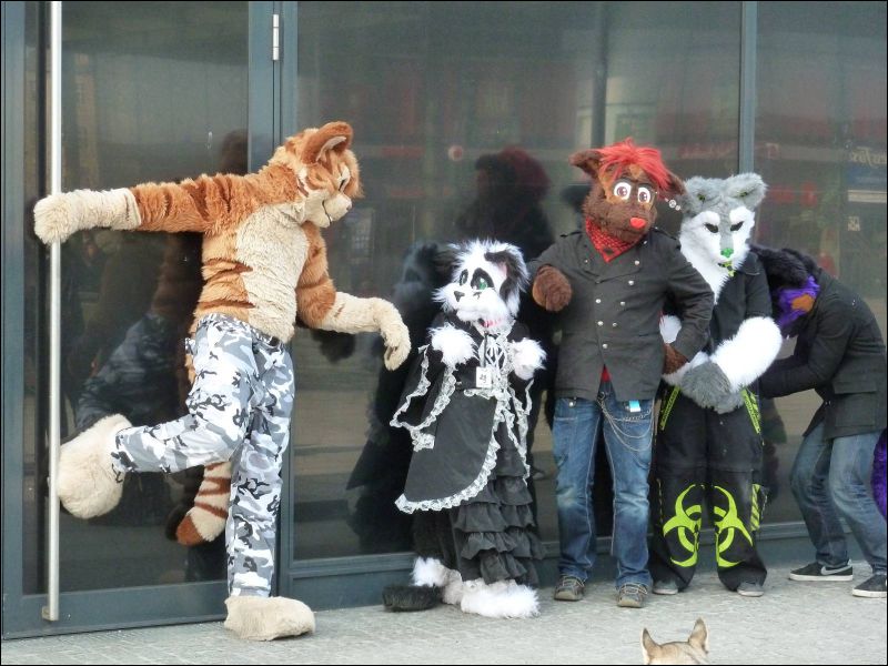 [Furmeet_Dresden_23032013_Tari (23).JPG]