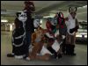 [Furmeet Dresden 23032013 Tari (8)]