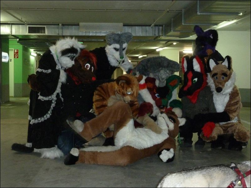 [Furmeet_Dresden_23032013_Tari (9).JPG]