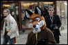 [s fox is going to play]