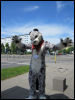 [Fursuitwalk Asrail (39)]