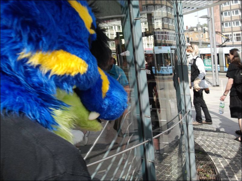 [Fursuitwalk_Fridolfus (10).jpg]