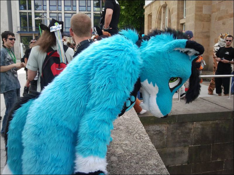 [Fursuitwalk_Fridolfus (4).jpg]