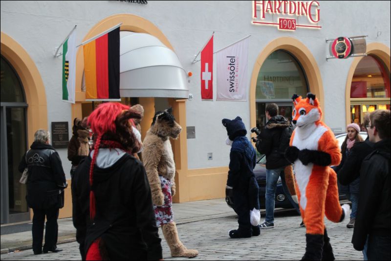 [SFD-10-Fursuitwalk-Harko (51).JPG]