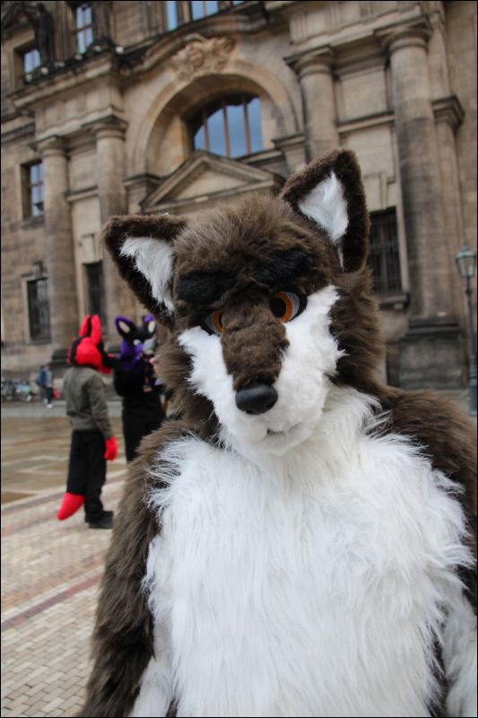 [SFD-10-Fursuitwalk-Harko (61).JPG]