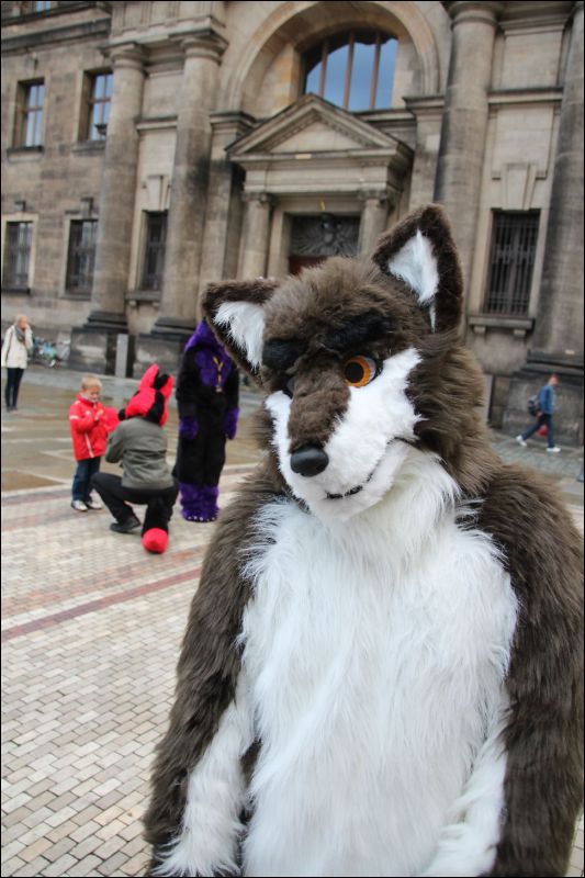 [SFD-10-Fursuitwalk-Harko (62).JPG]