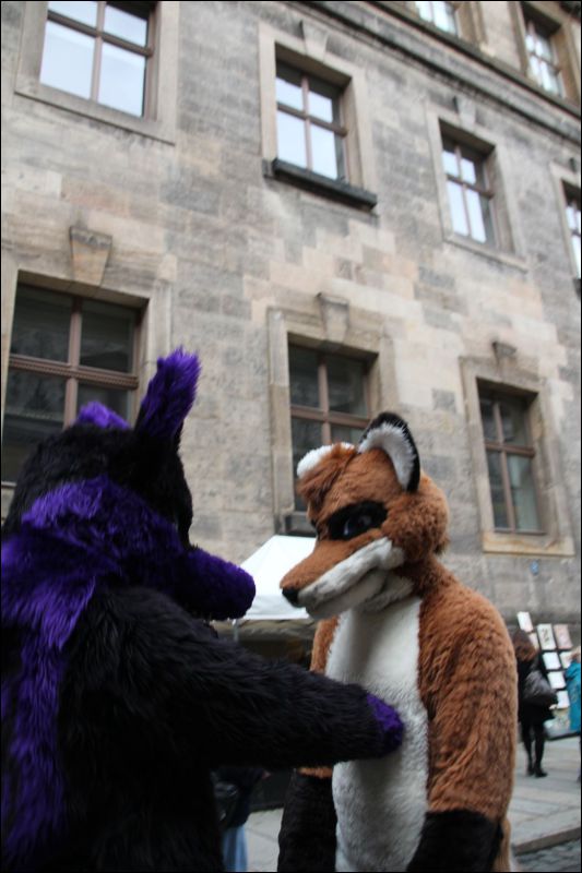 [SFD-10-Fursuitwalk-Harko (64).JPG]