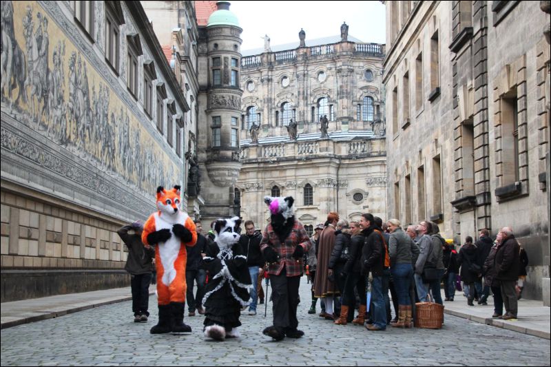 [SFD-10-Fursuitwalk-Harko (70).JPG]