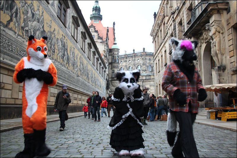 [SFD-10-Fursuitwalk-Harko (72).JPG]