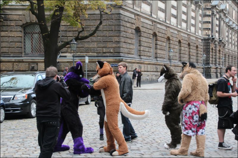 [SFD-10-Fursuitwalk-Harko (82).JPG]