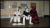 [BadgerGuy 1903]