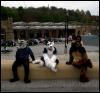 [ExiledWolf 20070407 Sheffield 50]