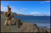 [Junkvist 15 IsleOfSkye-EastCoast-ClachanBeach-03]