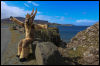 [Junkvist 15 IsleOfSkye-EastCoast-ClachanBeach-04]