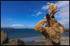[Junkvist 15 IsleOfSkye-EastCoast-ClachanBeach-06]