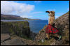 [Junkvist 15 IsleOfSkye-EastCoast-ClachanBeach-12]