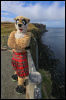 [Junkvist 15 IsleOfSkye-EastCoast-KiltRock-11]