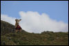 [Junkvist 15 IsleOfSkye-EastCoast-LubScoreBay-17]