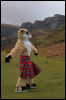 [Junkvist 15 IsleOfSkye-EastCoast-misc-06]